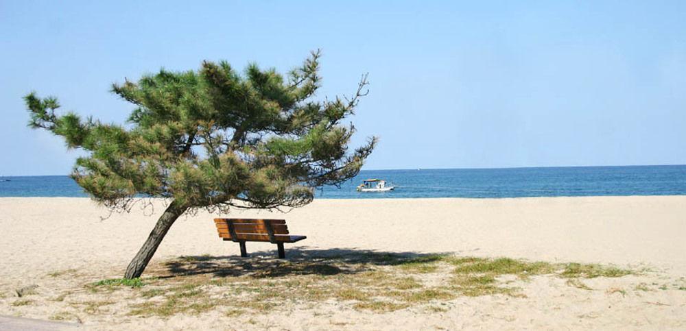 Pine Beach Yangyang Exterior foto